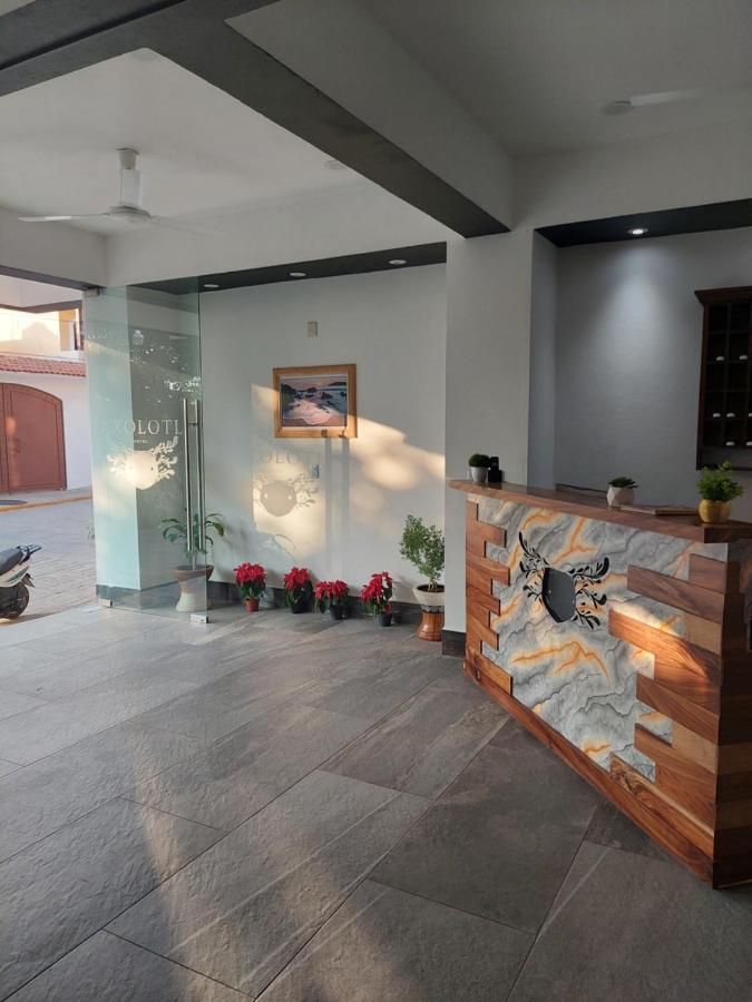 Hotel Axolotl Puerto Escondido  Bagian luar foto