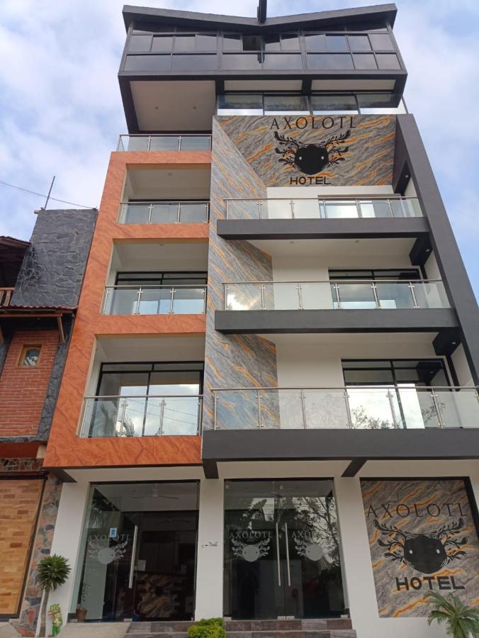 Hotel Axolotl Puerto Escondido  Bagian luar foto