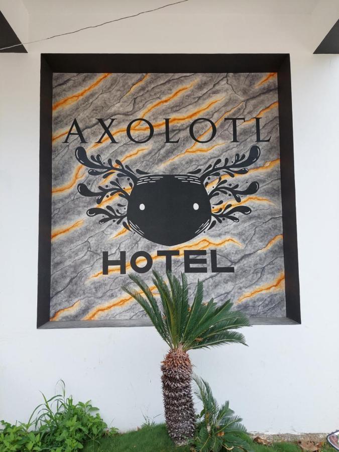 Hotel Axolotl Puerto Escondido  Bagian luar foto