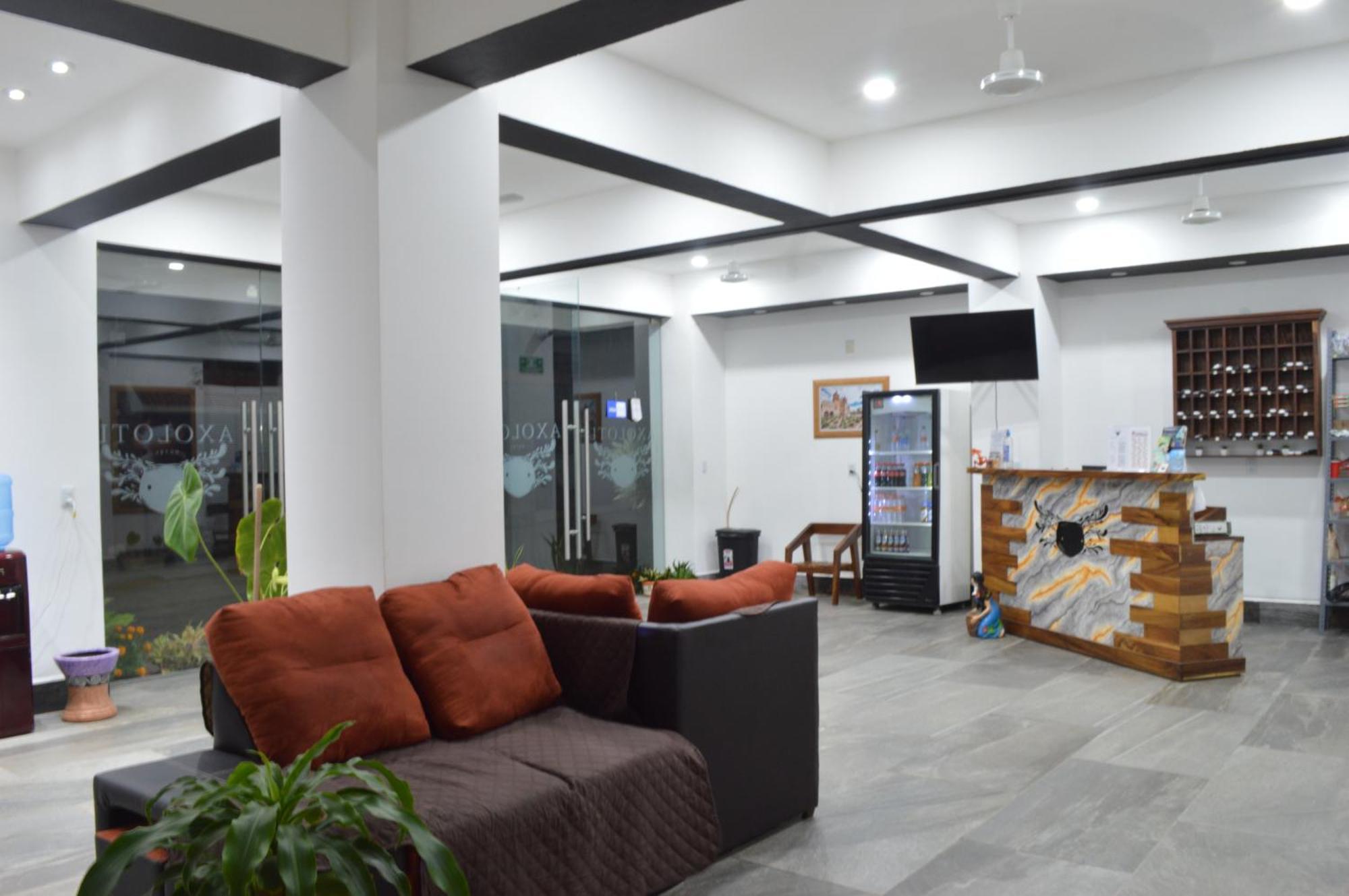 Hotel Axolotl Puerto Escondido  Bagian luar foto
